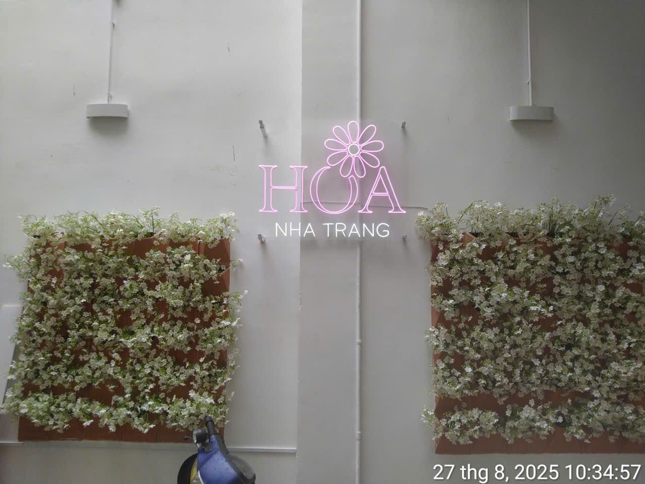 Đèn led neon sign uốn chữ decor góc check in sống ảo tiệm hoa Nha Trang
